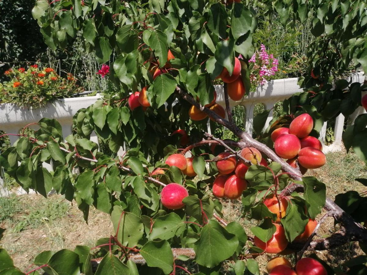Vemi Farm stay