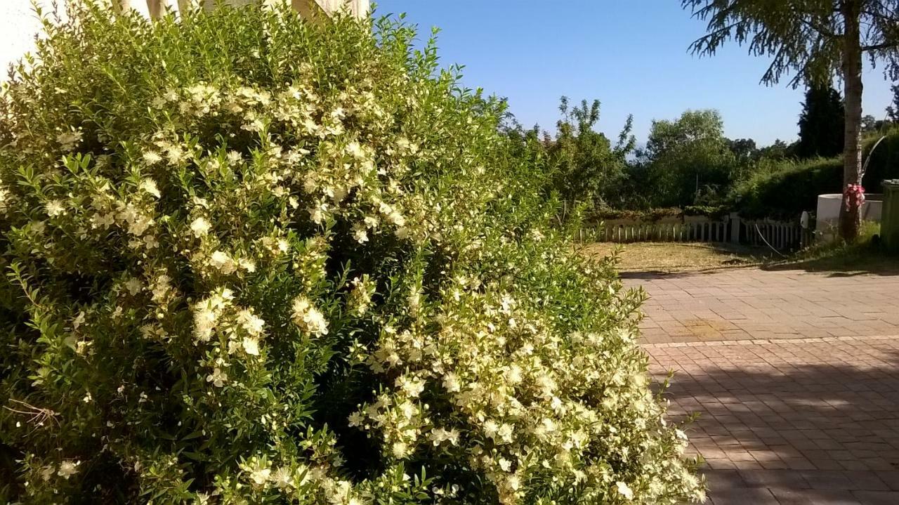 Farm stay Vemi Santa Sofia d'Epiro