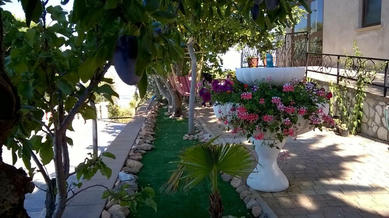 Vemi Farm stay *